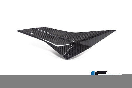 Боковая панель, левая ILMBERGER для Aprilia Tuono V4 / RSV 4