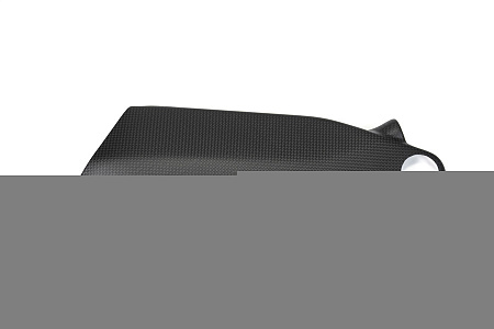 Накладка рамы ILMBERGER для Ducati Panigale V4 R /S