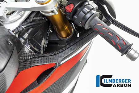 Крашка воздуховода, правая ILMBERGER для Ducati Panigale V4 / V4 S